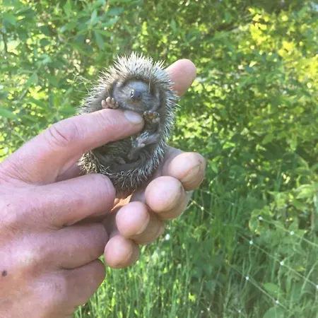 Appartement La Pitardière