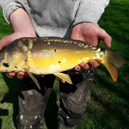 La Pitardiere Apartment Villaines-la-Juhel