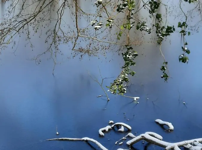 La Pitardière Villaines-la-Juhel