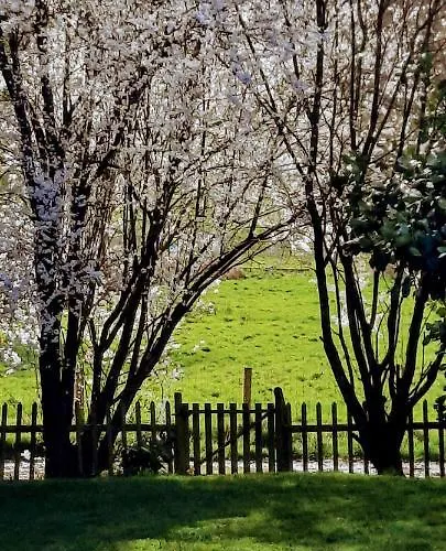 Appartamento La Pitardière Villaines-la-Juhel