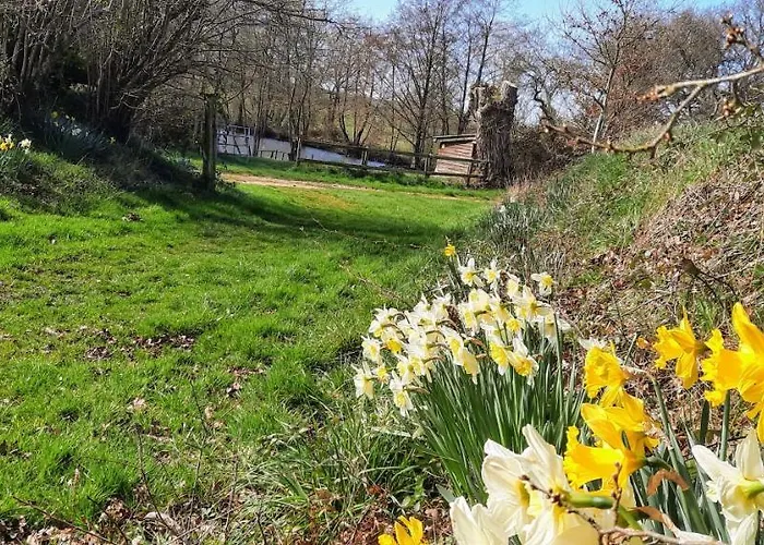 Daire La Pitardiere *