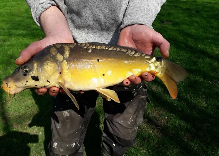 La Pitardière Appartamento Villaines-la-Juhel