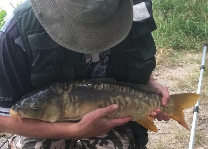 La Pitardière Appartamento